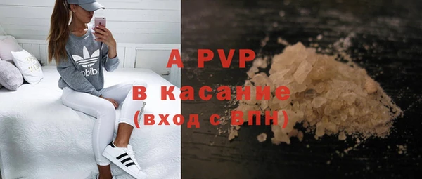 стафф Нефтекумск