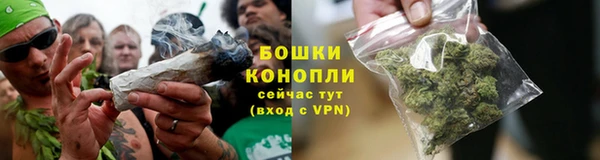 стафф Нефтекумск
