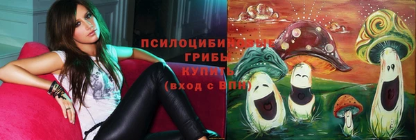 стафф Нефтекумск